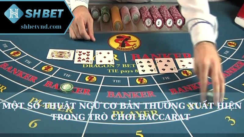 Một số thuật ngữ cơ bản thường xuất hiện trong trò chơi Baccarat